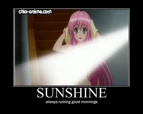 morning