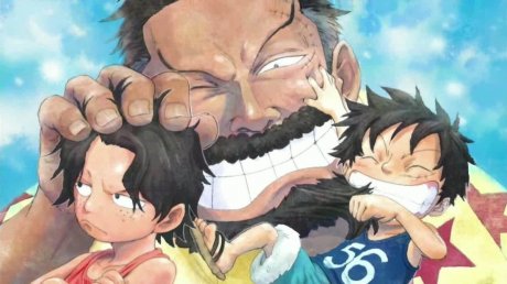one piece feel's