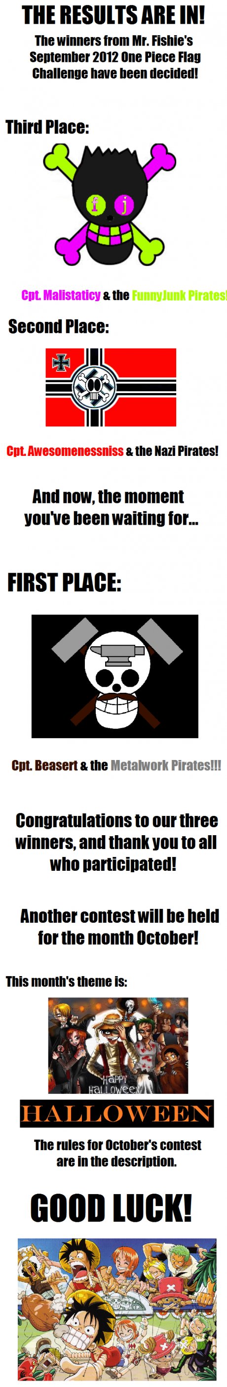 One Piece Flag Challenge Results!