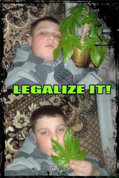 smoke weed erryday