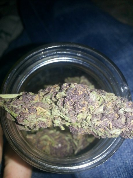 purp