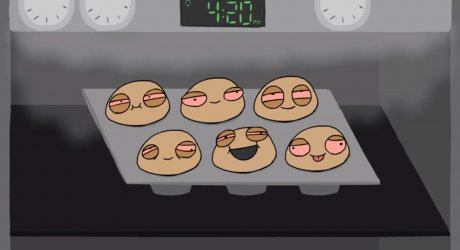 Baked Muffins