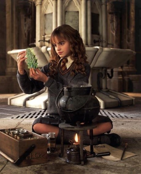 Silly Hermione
