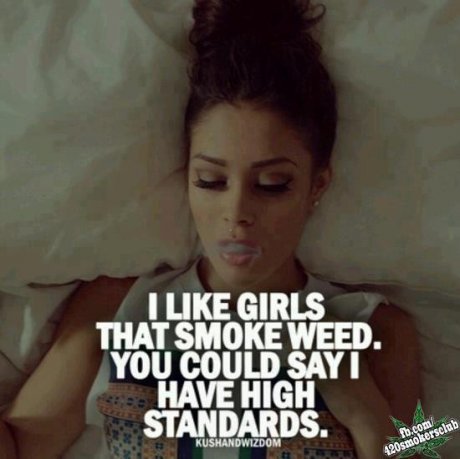 my standards