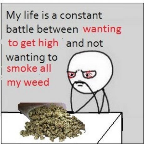thats what in saying