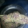purp