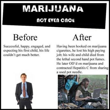 weed not even once