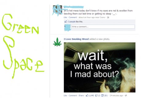 Der Newsfeed