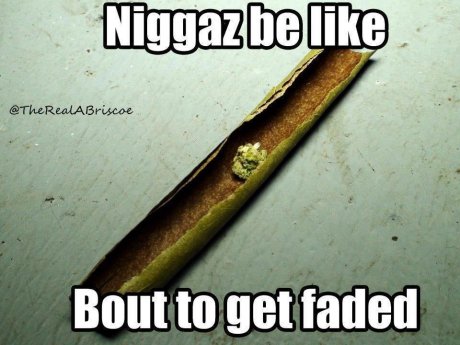 damn nigga