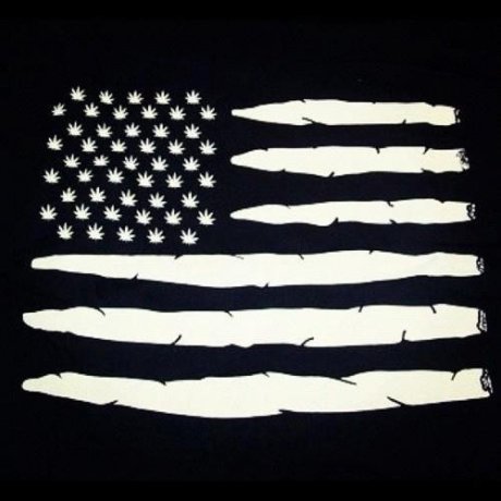 I pledge allegiance...