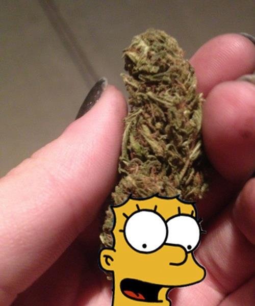 Marge 'bud'son