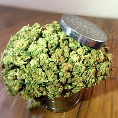 We're gonna need a bigger grinder...