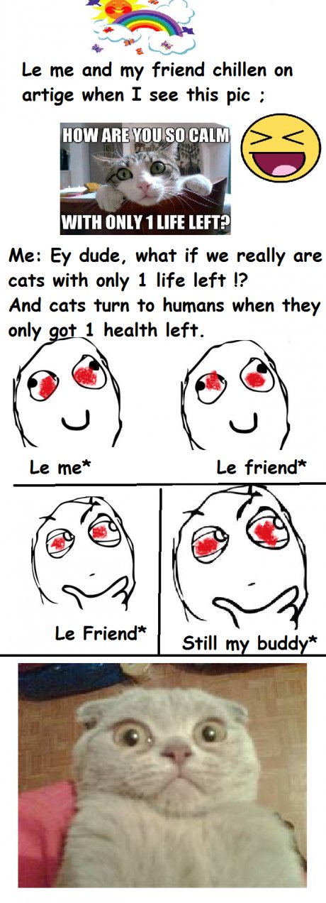 We are all CATS !!!