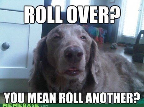 Dude