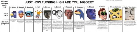 How High Are You?