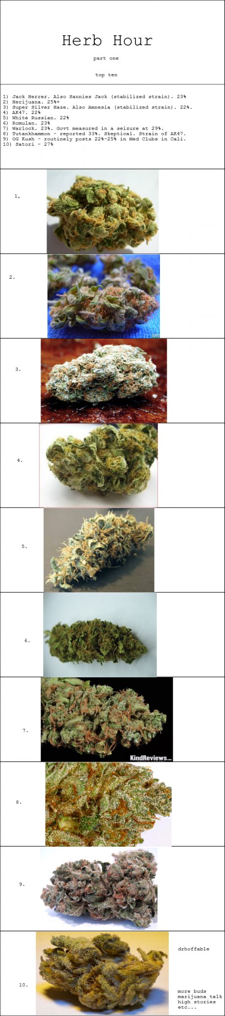 enjoy the buds