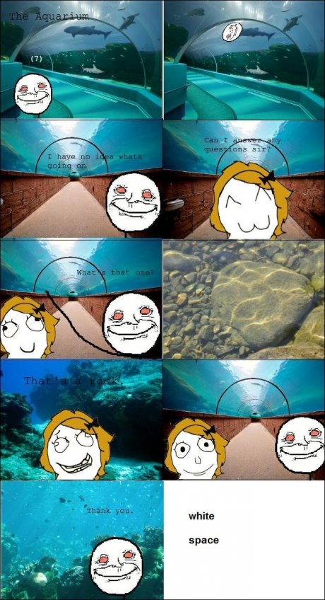 At the aquarium