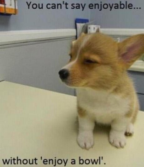 stoner dog