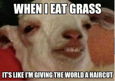 goat stoner logic