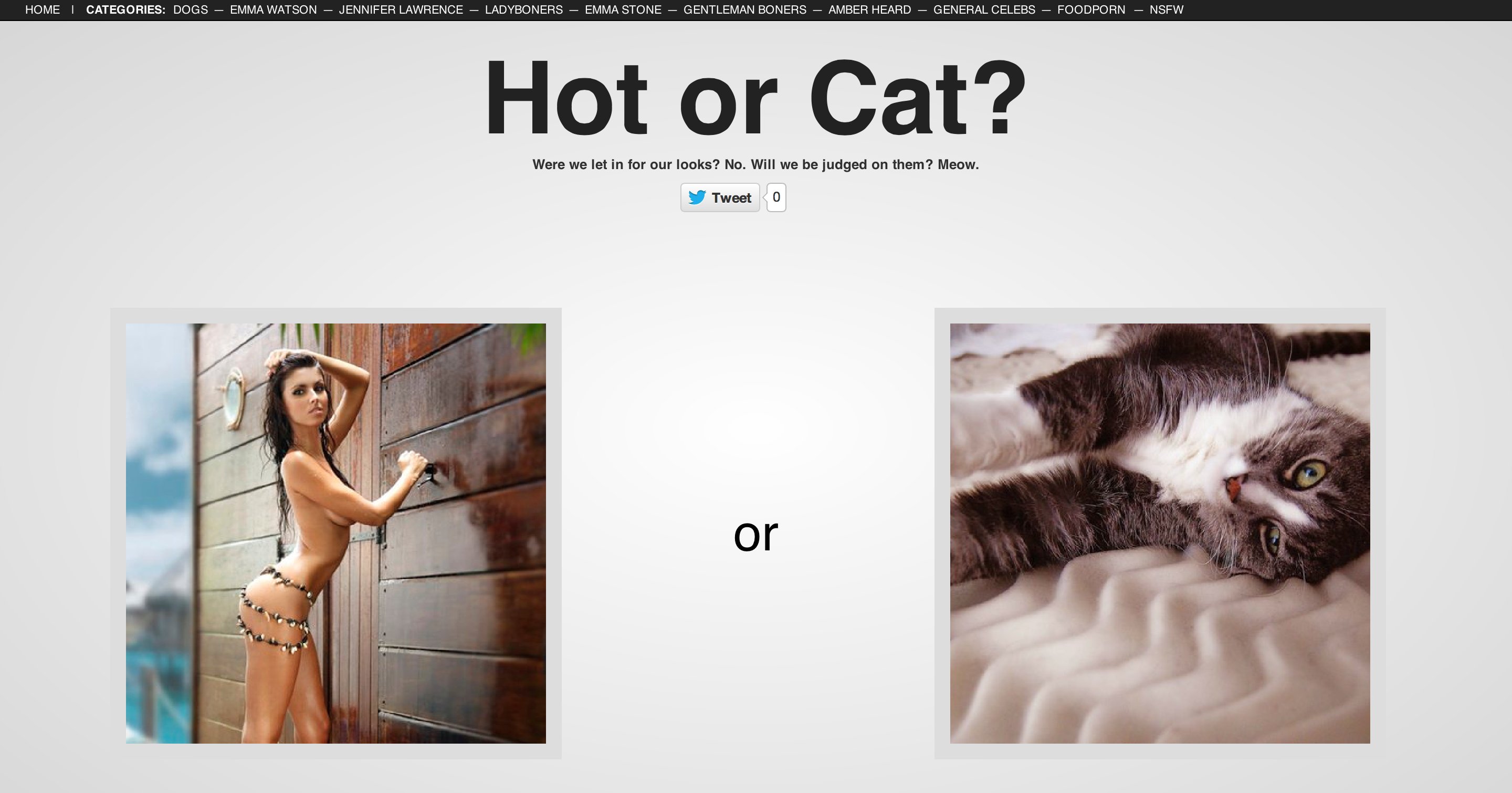 Hot women vs. cats. Very addictive.
