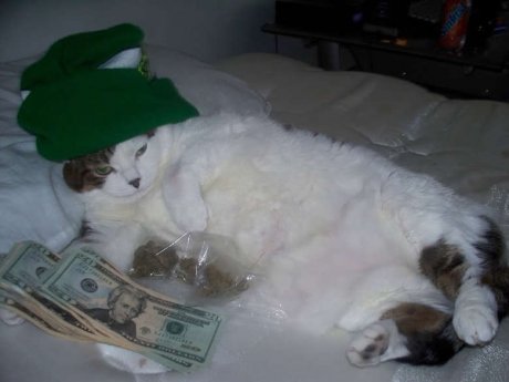 Supreme Dealer