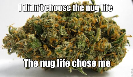 The nug life