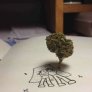 Heightened Creativity