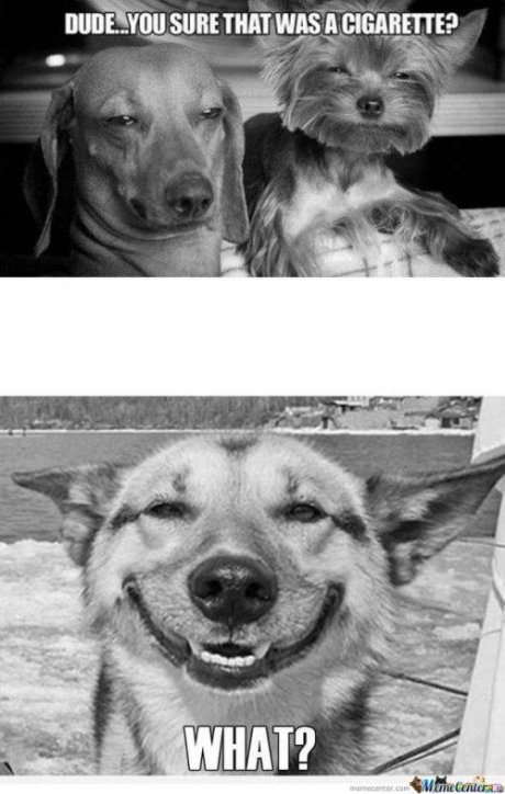 Dude
