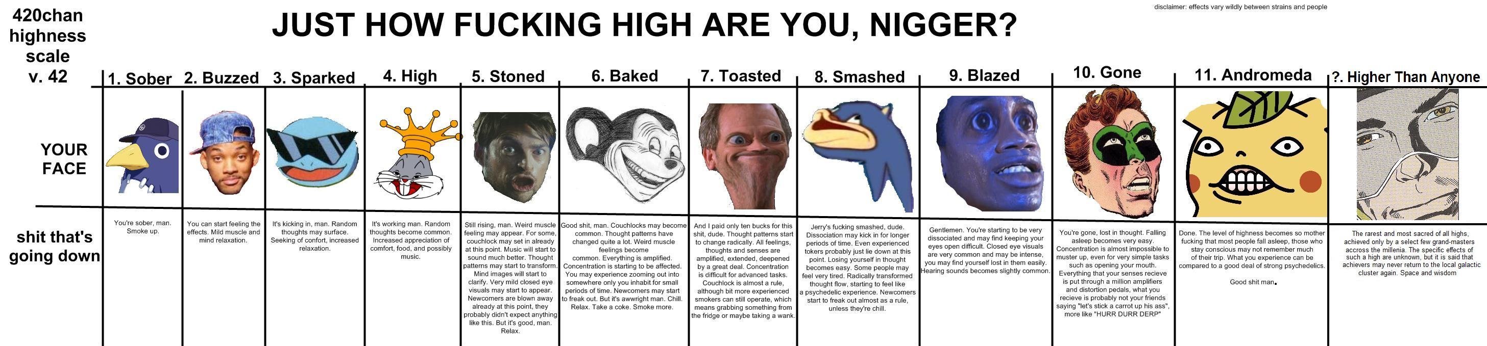 How High Are You?