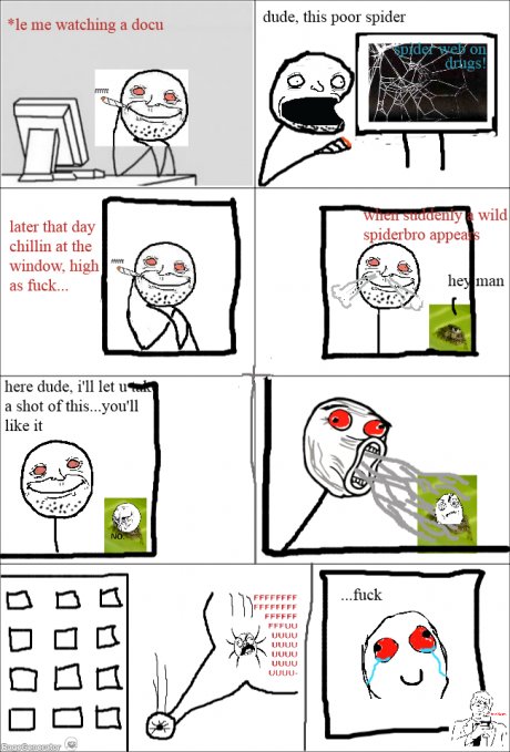 poor spider