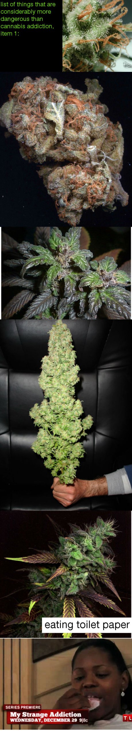 Marijuana Addiction: Dangerousish!!
