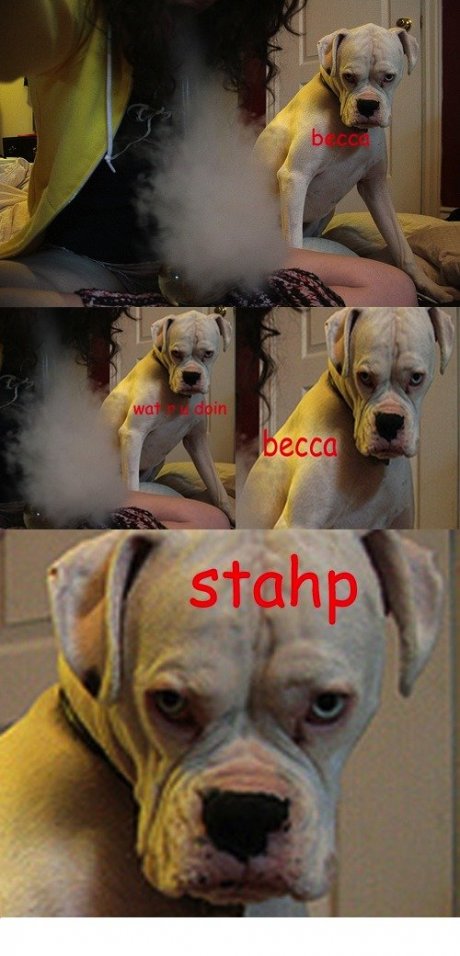Stahp