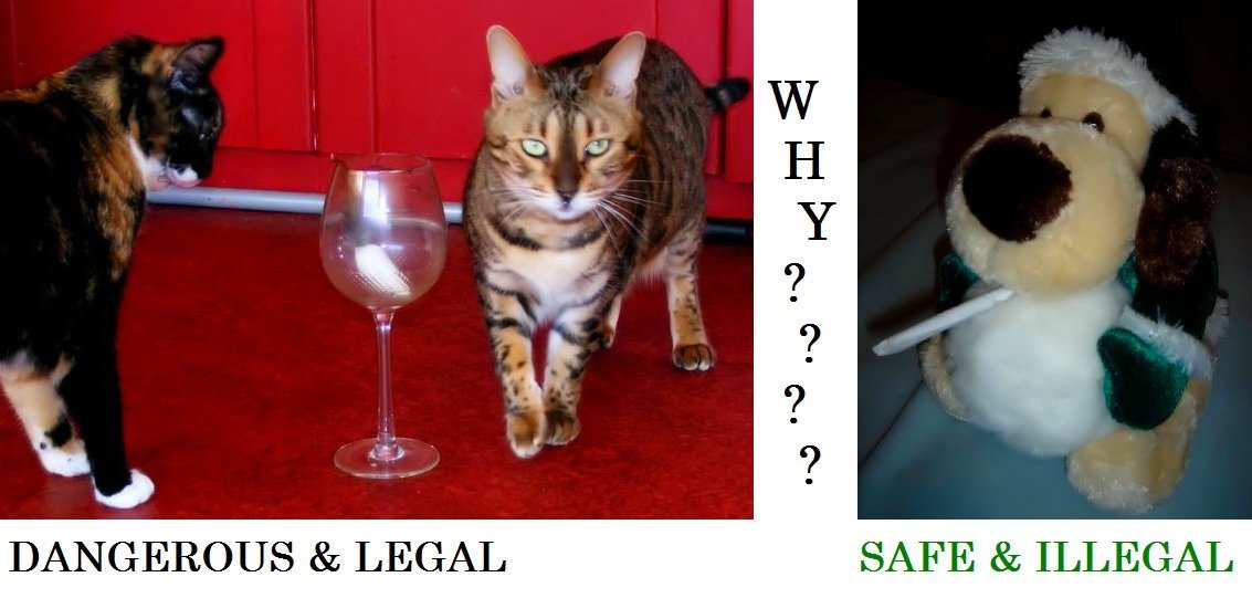 Why not legal???