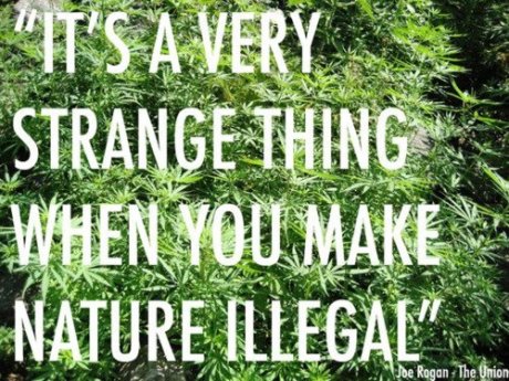 Strange..