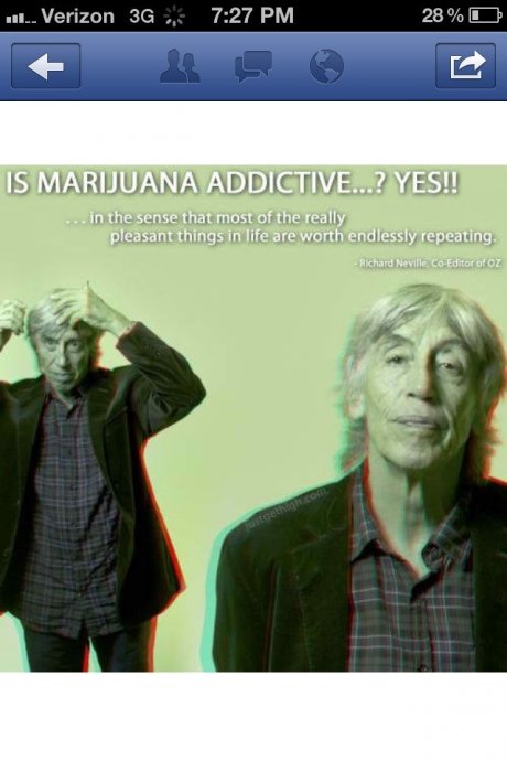 youre not addicted, youre just havin fun