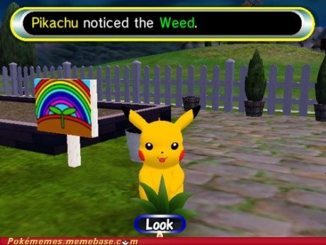 Pokémon