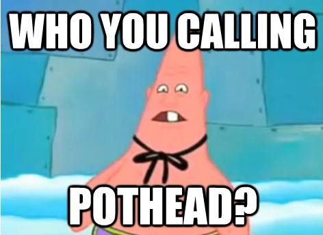 MFW my mom calls me a pothead.