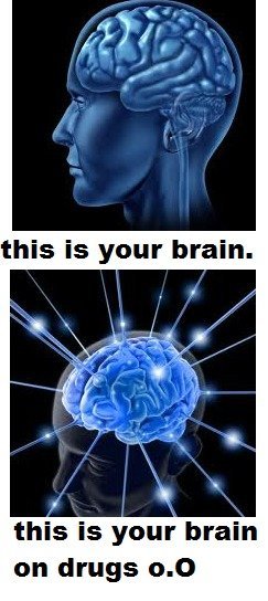 Your brain on drugs...
