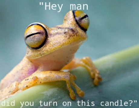 Ya know man?