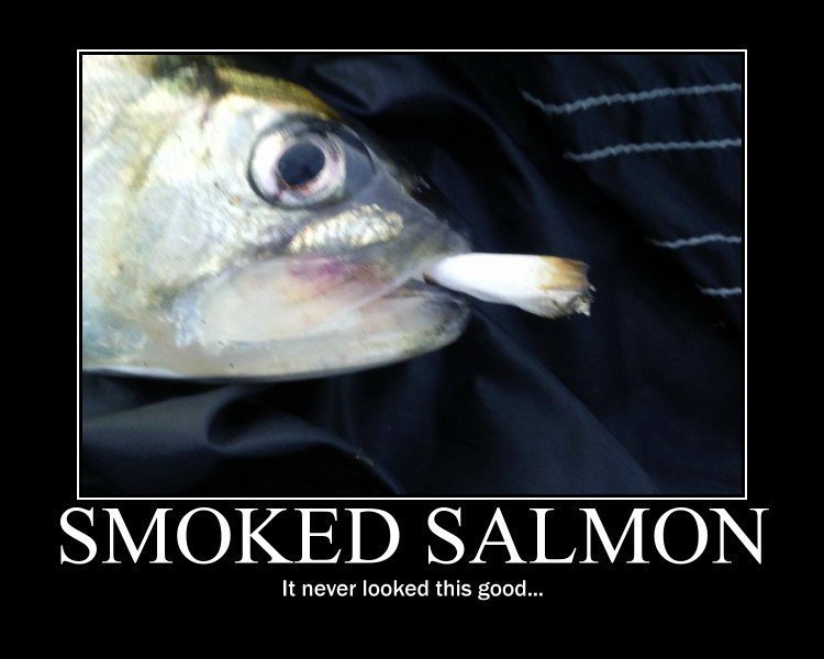 Freshly BAKED "Smoked Salmon"