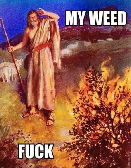 Oh Fuck