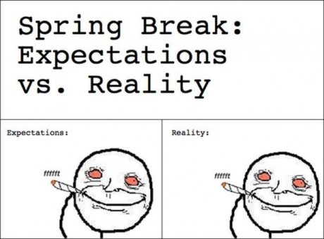 True Story Bro