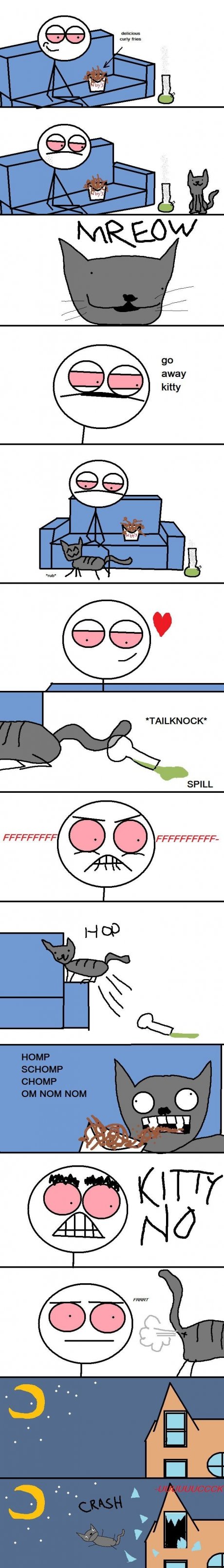 Cats