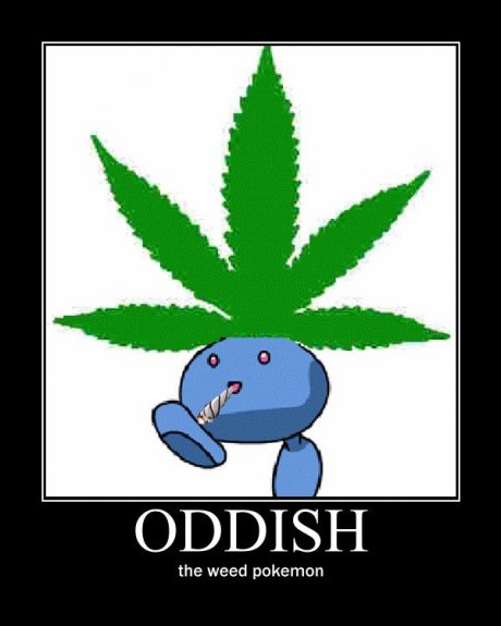 favorite pokemon