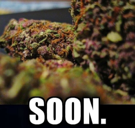 soon.