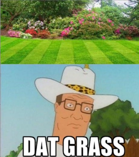 GRASS