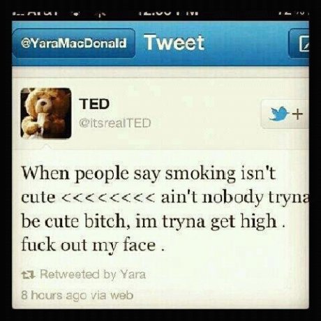 oh ted