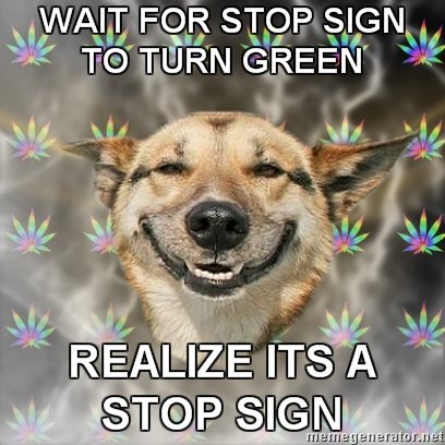 High dog