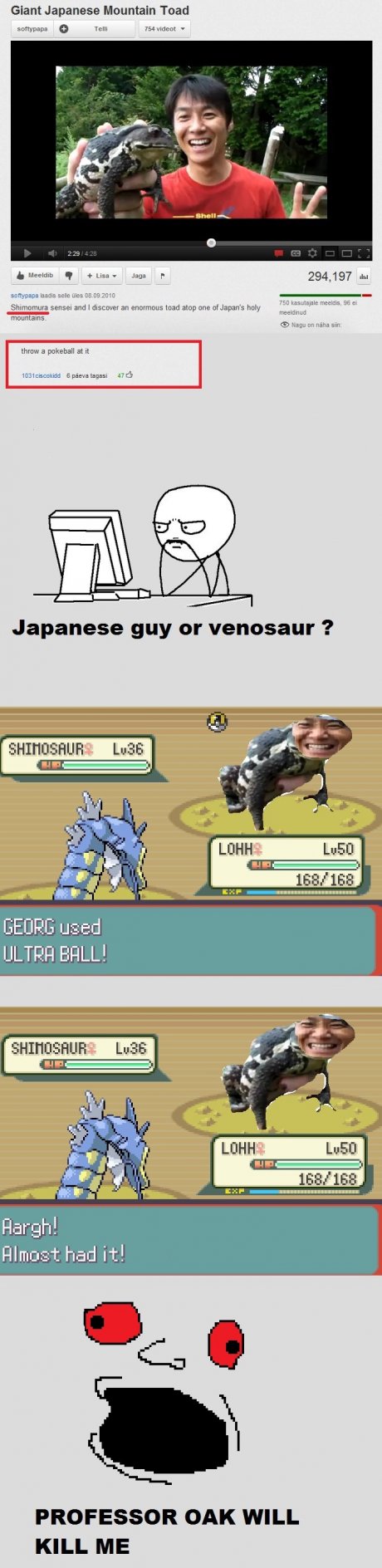 My pokedex crashed