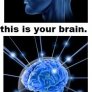 Your brain on drugs...